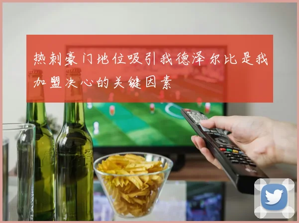 热刺豪门地位吸引我德泽尔比是我加盟决心的关键因素