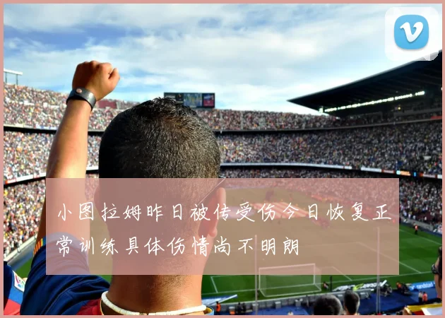 小图拉姆昨日被传受伤今日恢复正常训练具体伤情尚不明朗