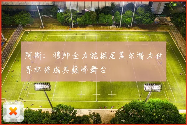 阿斯：穆帅全力挖掘居莱尔潜力世界杯将成其巅峰舞台